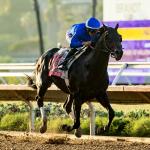 Knightsbridge Romps in Pacific Classic, Earns Spot in Breeders' Cup Classic